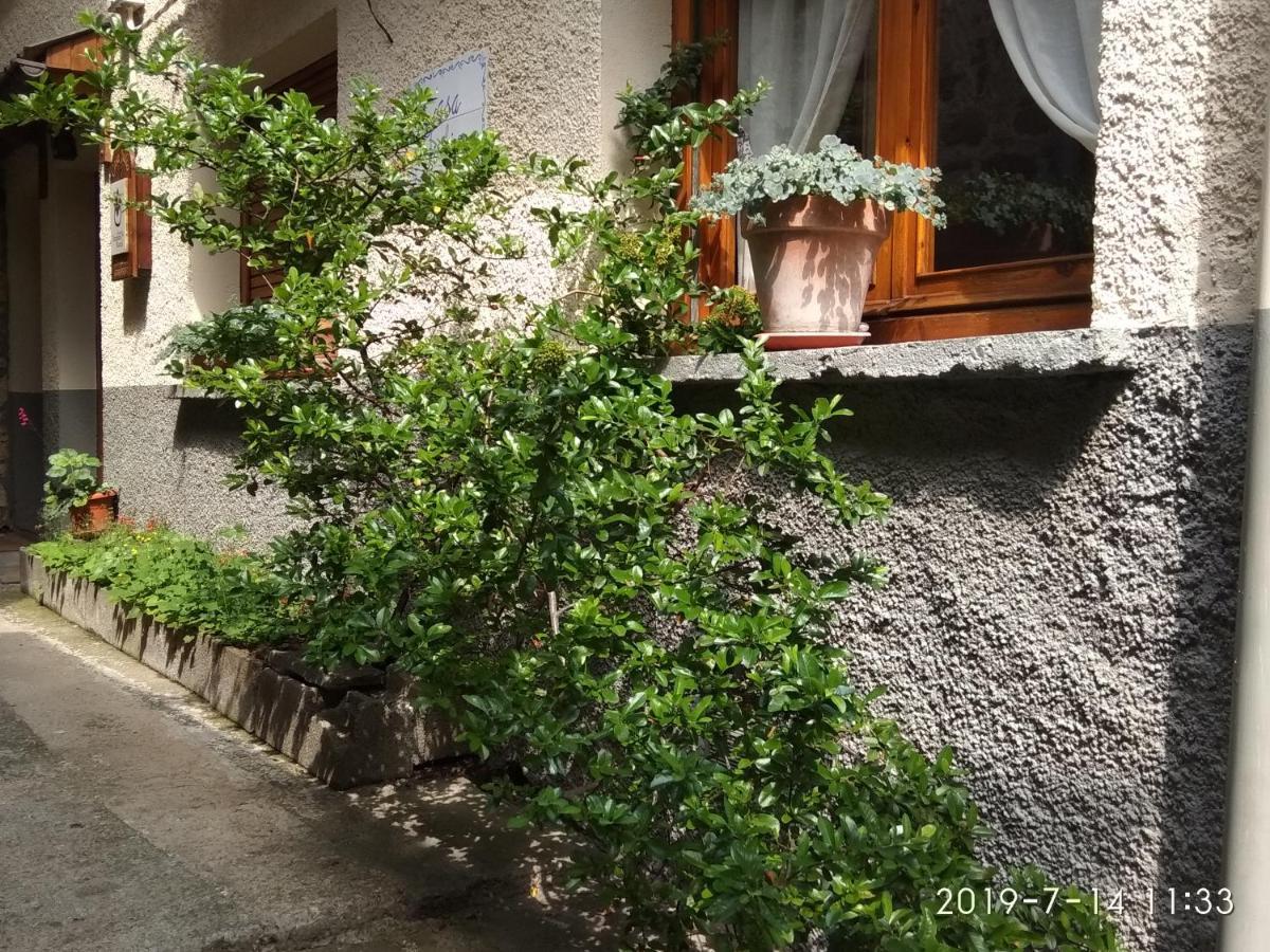 Villa Casa Julio Torla Esterno foto